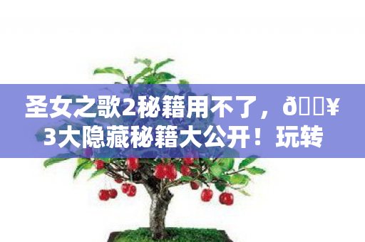 圣女之歌2秘籍用不了，🔥3大隐藏秘籍大公开！玩转圣女之歌2的爽感直接拉满！
