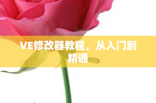 VE修改器教程,从入门到精通 VE修改器教程,从入门到精通
