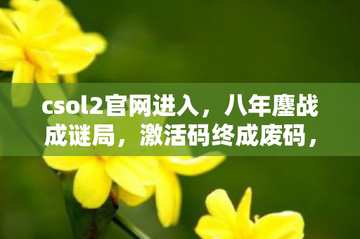 csol2官网进入，八年鏖战成谜局，激活码终成废码，泪目见证终章