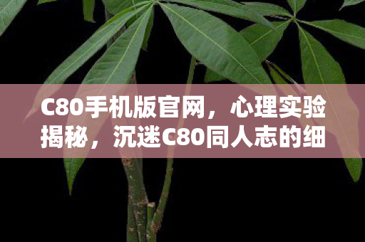 C80手机版官网,心理实验揭秘,沉迷C80同人志的细思极恐自我麻醉之旅 C80手机版官网,心理实验揭秘,沉迷C80同人志的细思极恐自我麻醉之旅