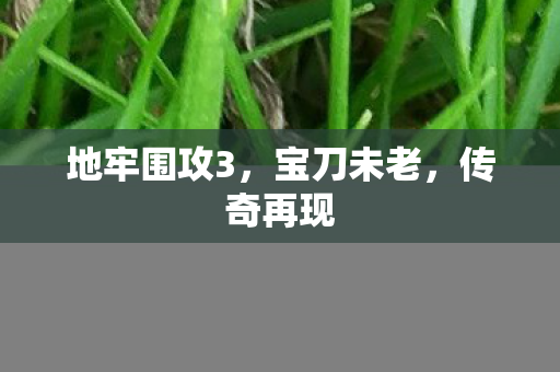 地牢围攻3,宝刀未老,传奇再现 地牢围攻3,宝刀未老,传奇再现