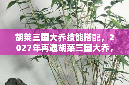 胡莱三国大乔技能搭配，2027年再遇胡莱三国大乔，伏笔揭开，那些过往让我鼻子一酸