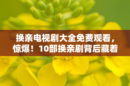 换亲电视剧大全免费观看，惊爆！10部换亲剧背后藏着多少不为人知的情感风暴？