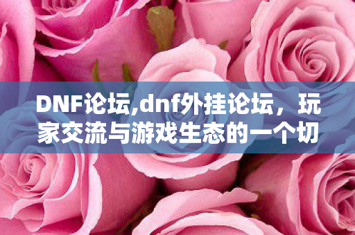DNF论坛,dnf外挂论坛，玩家交流与游戏生态的一个切面