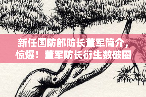 新任国防部防长董军简介,惊爆!董军防长衍生数破圈,游戏周边竟让我败出意想不到新高度! 新任国防部防长董军简介,惊爆!董军防长衍生数破圈,游戏周边竟让我败出意想不到新高度!