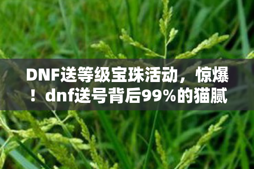 DNF送等级宝珠活动，惊爆！dnf送号背后99%的猫腻，这波操作让人直呼上头又下头！