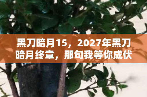 黑刀暗月15,2027年黑刀暗月终章,那句我等你成伏笔,鼻子一酸泪满襟 黑刀暗月15,2027年黑刀暗月终章,那句我等你成伏笔,鼻子一酸泪满襟