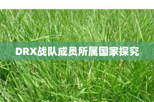 DRX战队成员所属国家探究 DRX战队成员所属国家探究