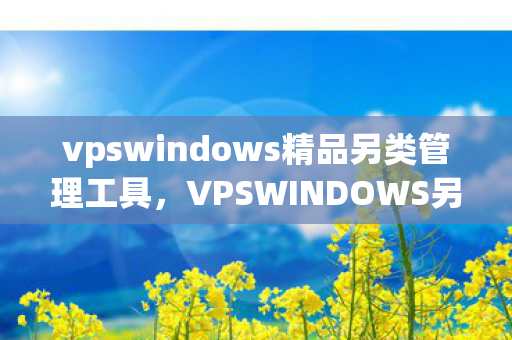 vpswindows精品另类管理工具,VPSWINDOWS另类精品,三倍流量疑云下,谁在让玩家心寒? vpswindows精品另类管理工具,VPSWINDOWS另类精品,三倍流量疑云下,谁在让玩家心寒?