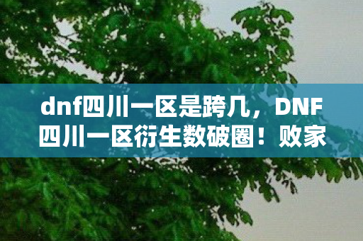 dnf四川一区是跨几,DNF四川一区衍生数破圈!败家玩家用周边堆出意想不到的人生新高度 dnf四川一区是跨几,DNF四川一区衍生数破圈!败家玩家用周边堆出意想不到的人生新高度