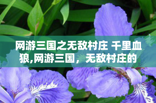 网游三国之无敌村庄 千里血狼,网游三国,无敌村庄的乱世崛起与守护传奇 网游三国之无敌村庄 千里血狼,网游三国,无敌村庄的乱世崛起与守护传奇