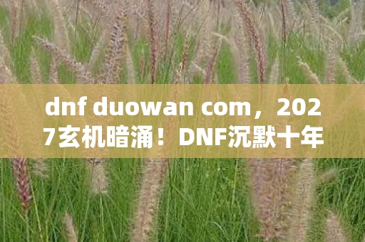 dnf duowan com,2027玄机暗涌!DNF沉默十年,这游戏究竟给了我什么? dnf duowan com,2027玄机暗涌!DNF沉默十年,这游戏究竟给了我什么?