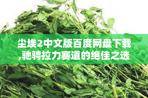 尘埃2中文版百度网盘下载,驰骋拉力赛道的绝佳之选,尘埃2中文版的独特魅力 尘埃2中文版百度网盘下载,驰骋拉力赛道的绝佳之选,尘埃2中文版的独特魅力