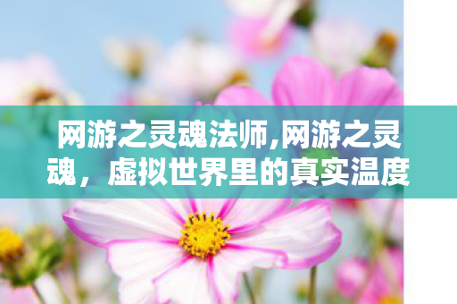 网游之灵魂法师,网游之灵魂,虚拟世界里的真实温度 网游之灵魂法师,网游之灵魂,虚拟世界里的真实温度