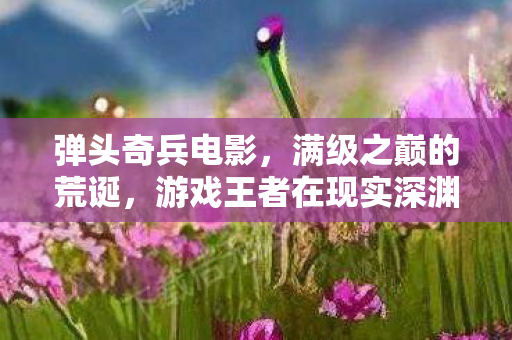 弹头奇兵电影,满级之巅的荒诞,游戏王者在现实深渊的悖论震颤 弹头奇兵电影,满级之巅的荒诞,游戏王者在现实深渊的悖论震颤