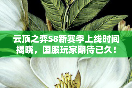 云顶之弈S8新赛季上线时间揭晓,国服玩家期待已久! 云顶之弈S8新赛季上线时间揭晓,国服玩家期待已久!