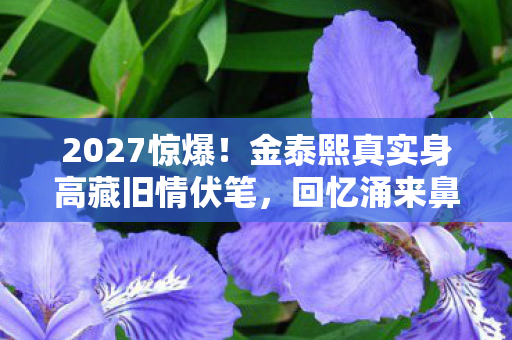 2027惊爆!金泰熙真实身高藏旧情伏笔,回忆涌来鼻子一酸 2027惊爆!金泰熙真实身高藏旧情伏笔,回忆涌来鼻子一酸