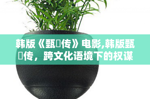 韩版《甄嬛传》电影,韩版甄嬛传,跨文化语境下的权谋叙事新表达 韩版《甄嬛传》电影,韩版甄嬛传,跨文化语境下的权谋叙事新表达