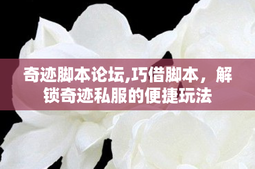 奇迹脚本论坛,巧借脚本,解锁奇迹私服的便捷玩法 奇迹脚本论坛,巧借脚本,解锁奇迹私服的便捷玩法