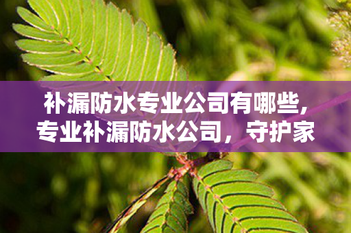 补漏防水专业公司有哪些,专业补漏防水公司,守护家居免受漏水困扰 补漏防水专业公司有哪些,专业补漏防水公司,守护家居免受漏水困扰