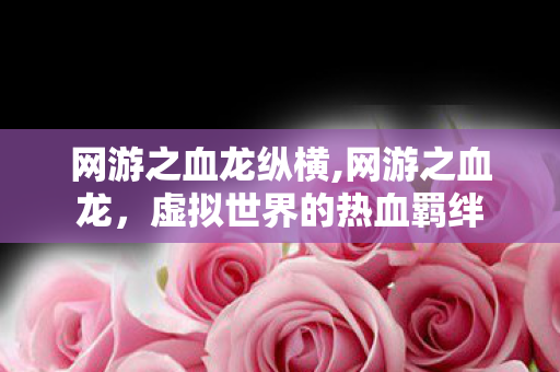 网游之血龙纵横,网游之血龙,虚拟世界的热血羁绊 网游之血龙纵横,网游之血龙,虚拟世界的热血羁绊