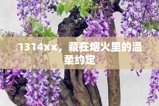 1314xx,藏在烟火里的温柔约定 1314xx,藏在烟火里的温柔约定