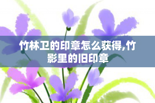 竹林卫的印章怎么获得,竹影里的旧印章