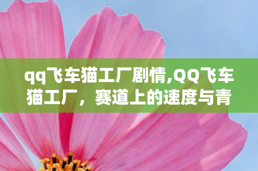 qq飞车猫工厂剧情,QQ飞车猫工厂,赛道上的速度与青春记忆 qq飞车猫工厂剧情,QQ飞车猫工厂,赛道上的速度与青春记忆