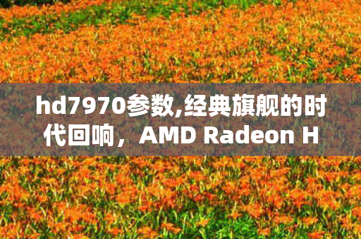 hd7970参数,经典旗舰的时代回响，AMD Radeon HD7970的传奇之旅