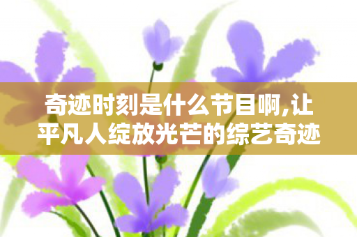 奇迹时刻是什么节目啊,让平凡人绽放光芒的综艺奇迹 奇迹时刻是什么节目啊,让平凡人绽放光芒的综艺奇迹