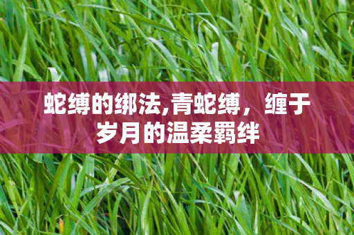 蛇缚的绑法,青蛇缚，缠于岁月的温柔羁绊