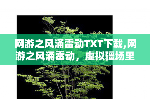网游之风涌雷动TXT下载,网游之风涌雷动,虚拟疆场里的热血共鸣 网游之风涌雷动TXT下载,网游之风涌雷动,虚拟疆场里的热血共鸣