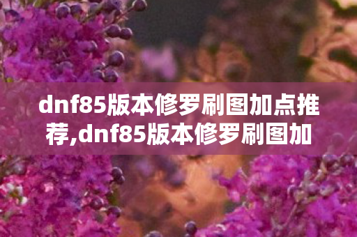 dnf85版本修罗刷图加点推荐,dnf85版本修罗刷图加点,适配版本的高效输出指南 dnf85版本修罗刷图加点推荐,dnf85版本修罗刷图加点,适配版本的高效输出指南