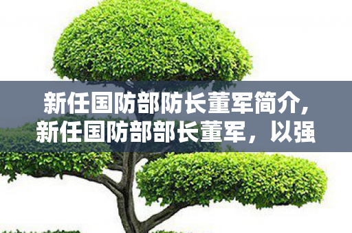 新任国防部防长董军简介,新任国防部部长董军,以强军担当守护家国与和平 新任国防部防长董军简介,新任国防部部长董军,以强军担当守护家国与和平