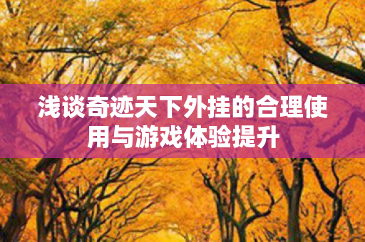 浅谈奇迹天下外挂的合理使用与游戏体验提升 浅谈奇迹天下外挂的合理使用与游戏体验提升