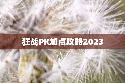 狂战PK加点攻略2023