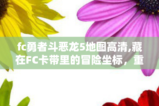 fc勇者斗恶龙5地图高清,藏在FC卡带里的冒险坐标,重温勇者斗恶龙5的经典地图记忆 fc勇者斗恶龙5地图高清,藏在FC卡带里的冒险坐标,重温勇者斗恶龙5的经典地图记忆
