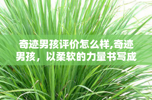 奇迹男孩评价怎么样,奇迹男孩，以柔软的力量书写成长的奇迹