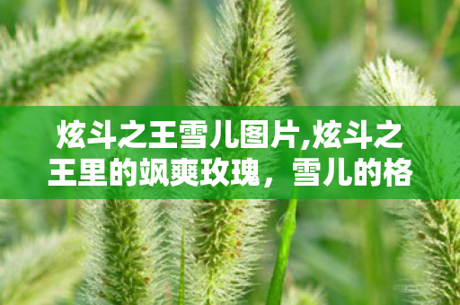 炫斗之王雪儿图片,炫斗之王里的飒爽玫瑰,雪儿的格斗魅力 炫斗之王雪儿图片,炫斗之王里的飒爽玫瑰,雪儿的格斗魅力