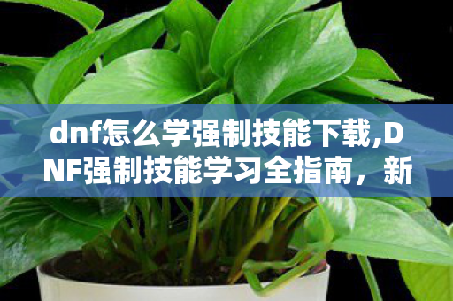 dnf怎么学强制技能下载,DNF强制技能学习全指南,新手快速掌握核心操作 dnf怎么学强制技能下载,DNF强制技能学习全指南,新手快速掌握核心操作