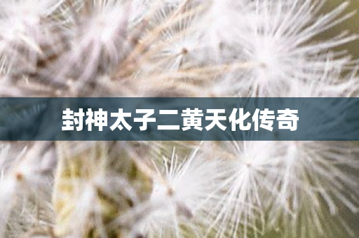封神太子二黄天化传奇