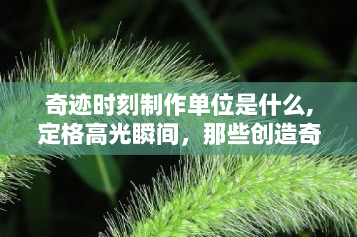 奇迹时刻制作单位是什么,定格高光瞬间,那些创造奇迹时刻的制作单位 奇迹时刻制作单位是什么,定格高光瞬间,那些创造奇迹时刻的制作单位
