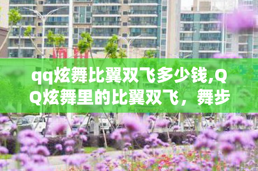 qq炫舞比翼双飞多少钱,QQ炫舞里的比翼双飞，舞步间的浪漫与相伴