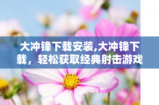 大冲锋下载安装,大冲锋下载,轻松获取经典射击游戏的正确途径 大冲锋下载安装,大冲锋下载,轻松获取经典射击游戏的正确途径