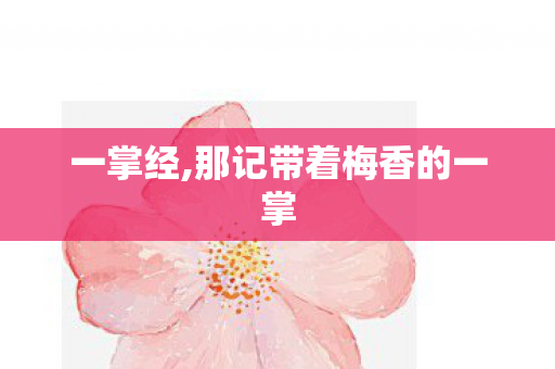 一掌经,那记带着梅香的一掌