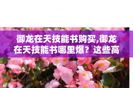 御龙在天技能书购买,御龙在天技能书哪里爆？这些高概率掉落点详解