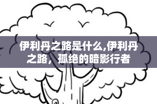 伊利丹之路是什么,伊利丹之路，孤绝的暗影行者