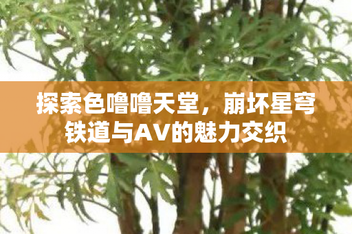 探索色噜噜天堂,崩坏星穹铁道与AV的魅力交织 探索色噜噜天堂,崩坏星穹铁道与AV的魅力交织