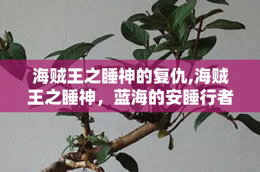 海贼王之睡神的复仇,海贼王之睡神，蓝海的安睡行者