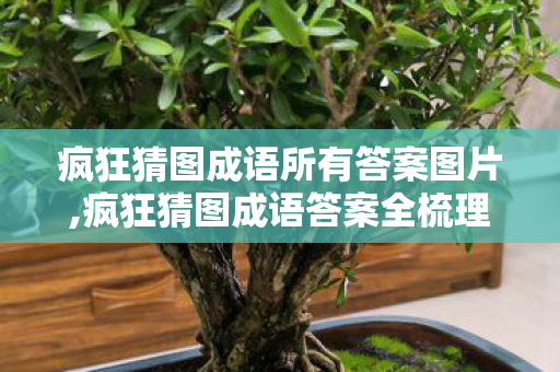 疯狂猜图成语所有答案图片,疯狂猜图成语答案全梳理,从经典到趣味的猜词盛宴 疯狂猜图成语所有答案图片,疯狂猜图成语答案全梳理,从经典到趣味的猜词盛宴